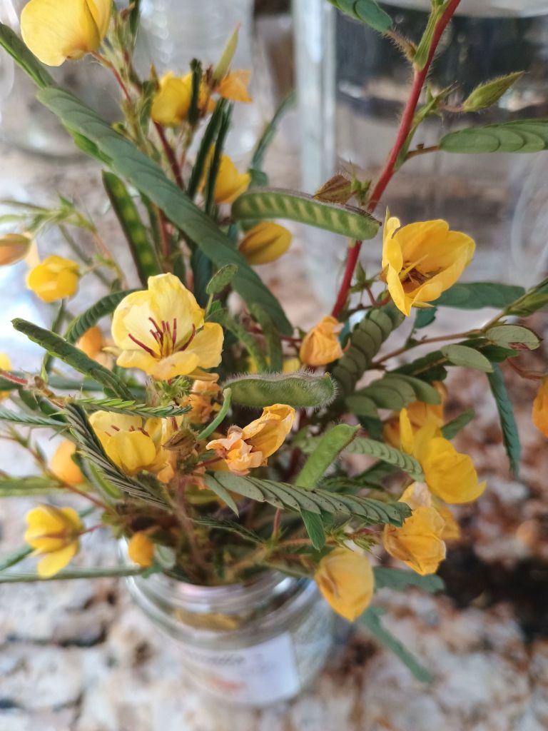 img_20241011_1715541054878410897429869435